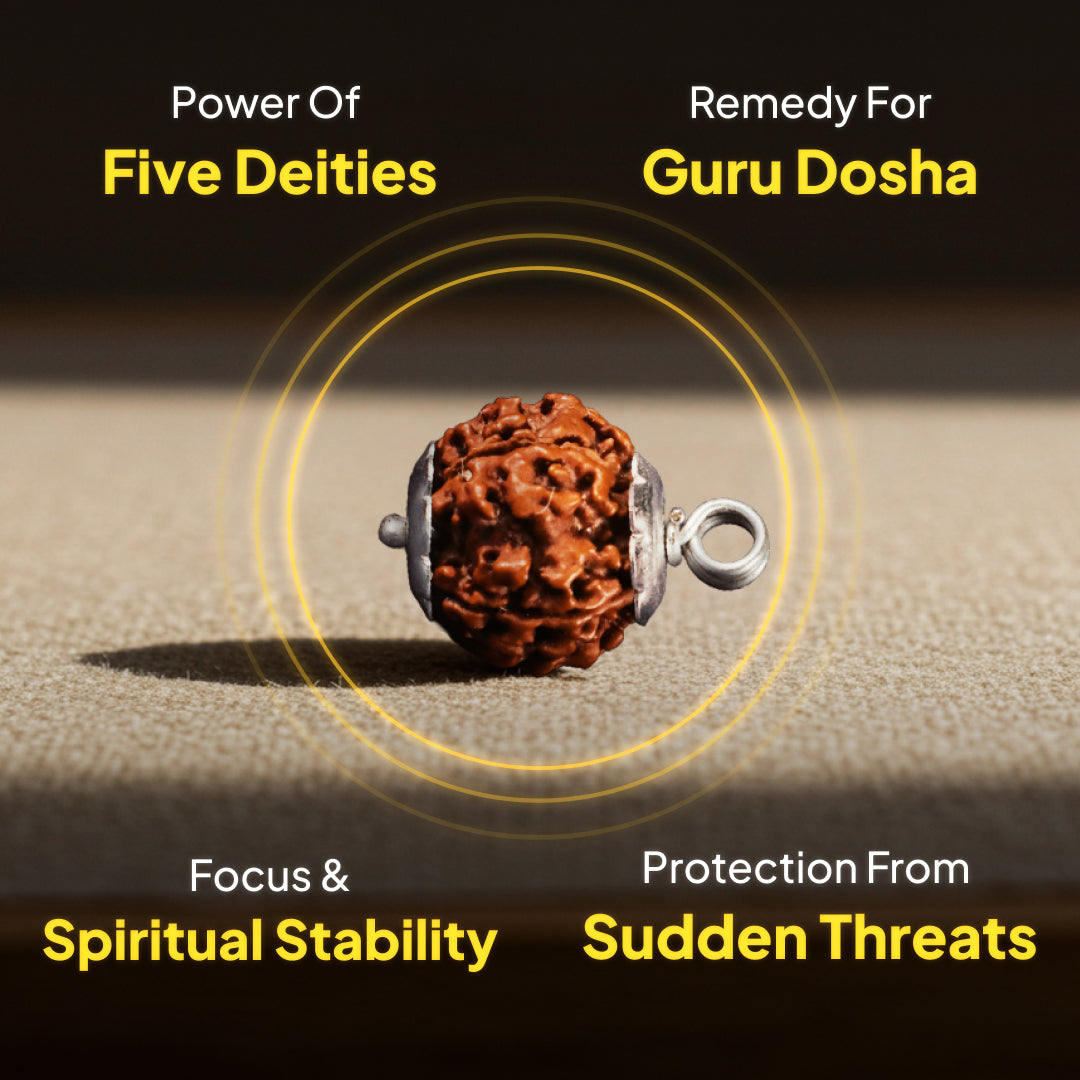 5 Mukhi Rudraksha | Energized at the sacred Omkareshwar Jyotirlinga 🔱